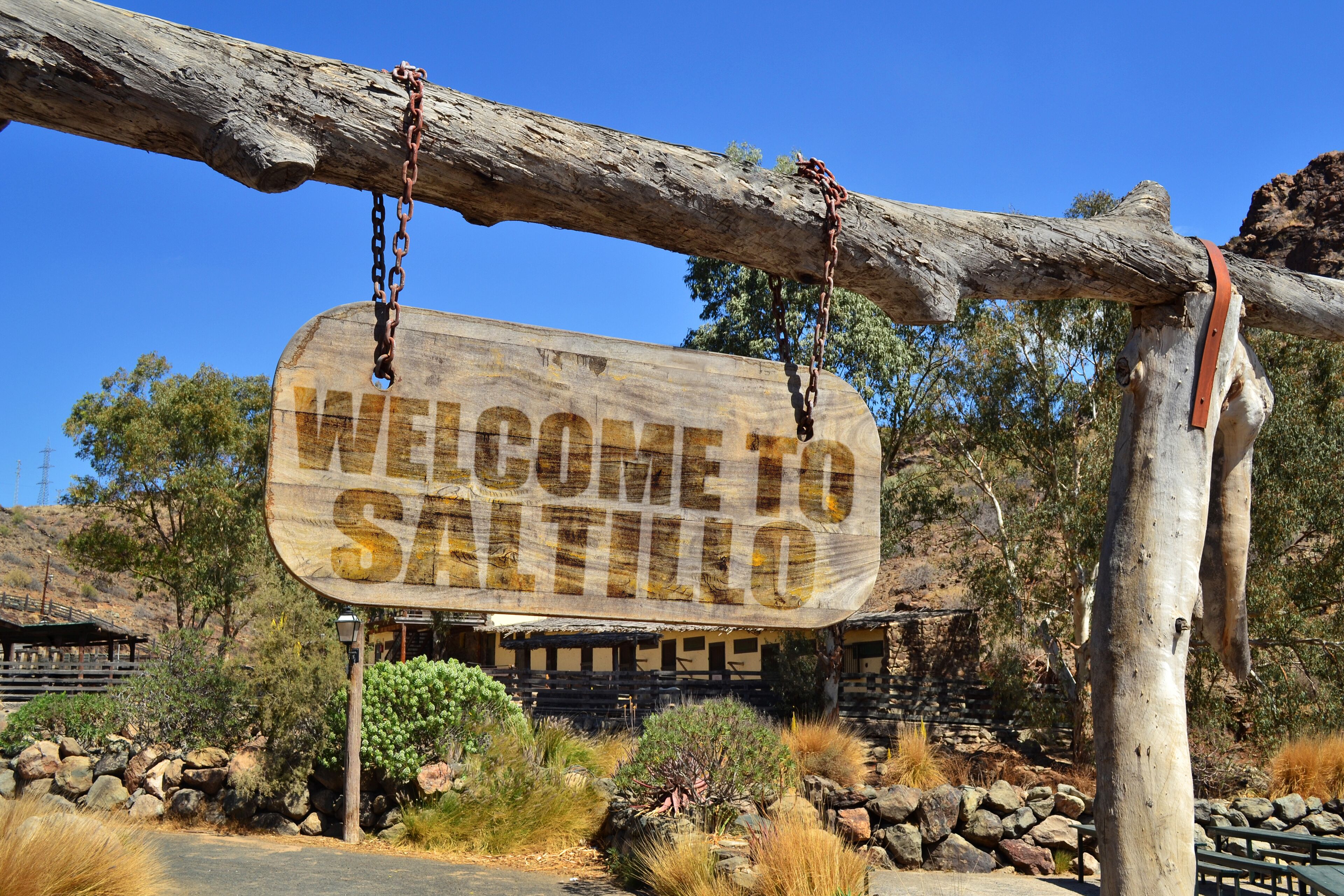 A wooden sign that reads "WELCOME TO SALTILLO" hanging from a tree branch.
