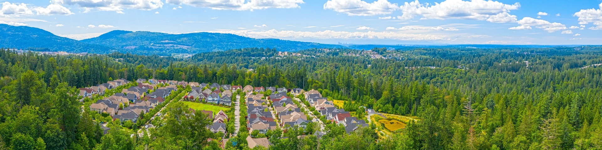 Suburban Housing Development Aerial View in Forest Environment Issaquah Washington USA