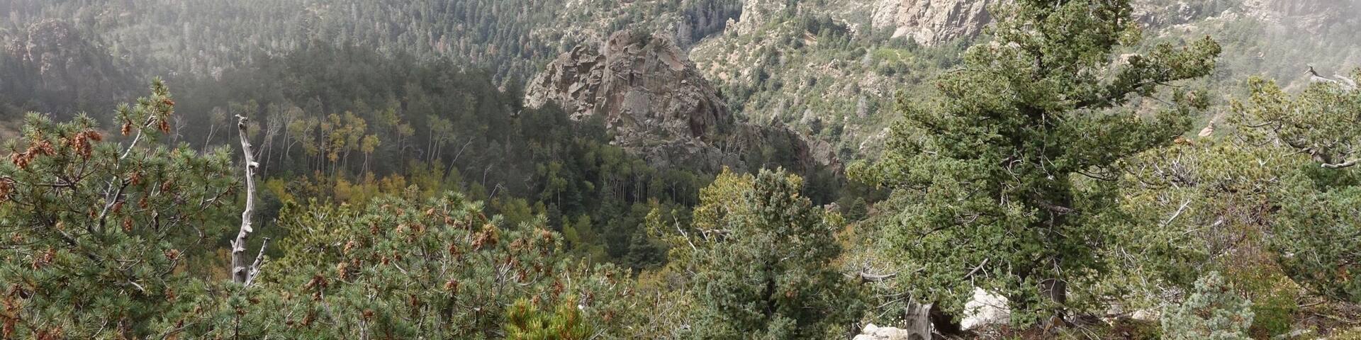 Ride the tram up to Sandia Park in Albuquerque, New Mexico to see some spectacular views.
A major bonus if you do this around hot air balloon festival week and you will see balloons hovering over the city. However the line/queue to ride the tram from the base can be quite long.