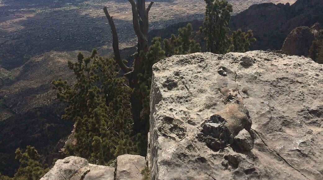 An easy hike but not crowded due to having to take the tram to get there. It snowed in May so be prepared for the cold.