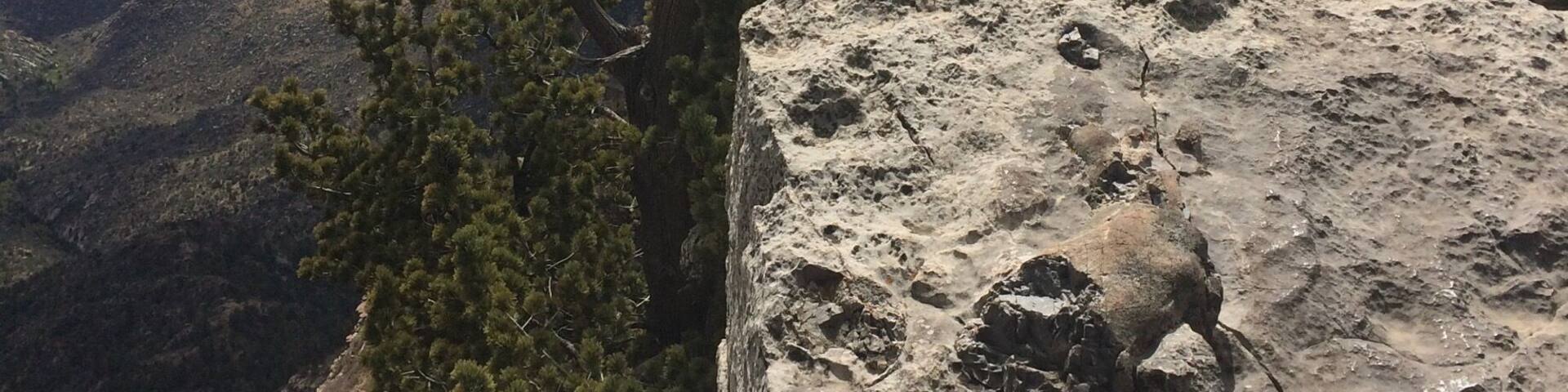 An easy hike but not crowded due to having to take the tram to get there. It snowed in May so be prepared for the cold.