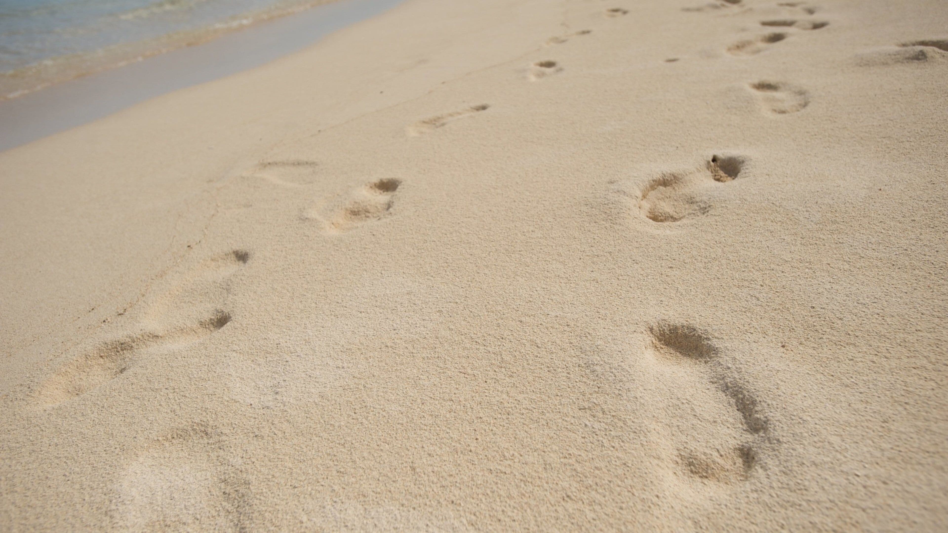 Samoa que incluye una playa y vistas generales de la costa