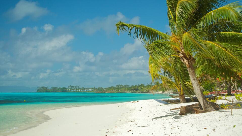 A white sandy beach with turquoise water, palm trees, and a clear blue sky.