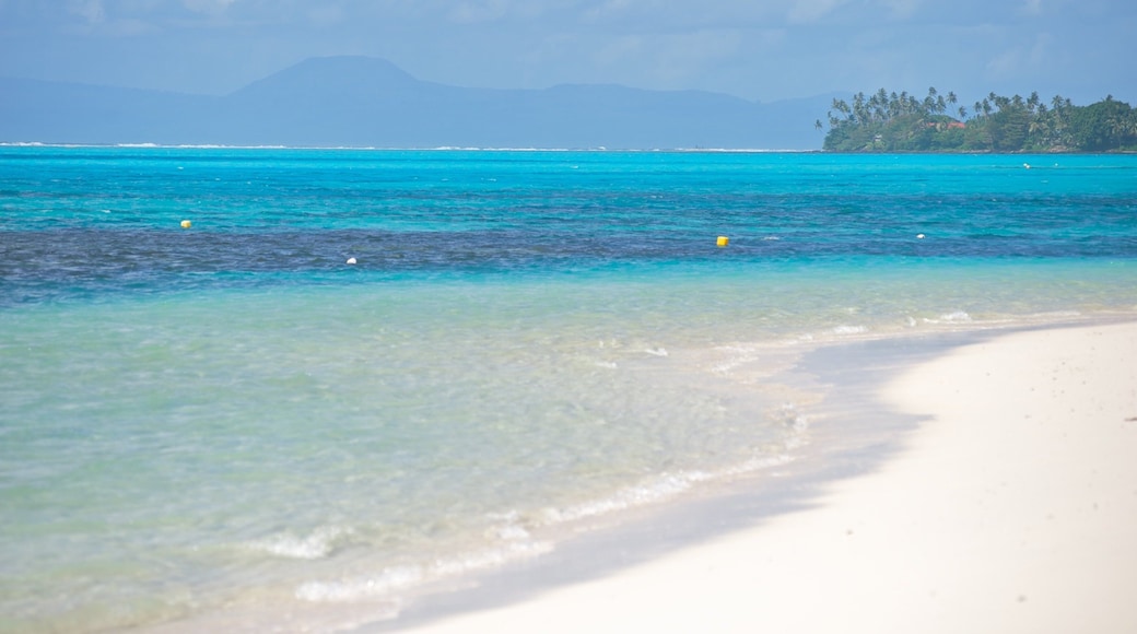 Samoa featuring tropical scenes, a sandy beach and general coastal views