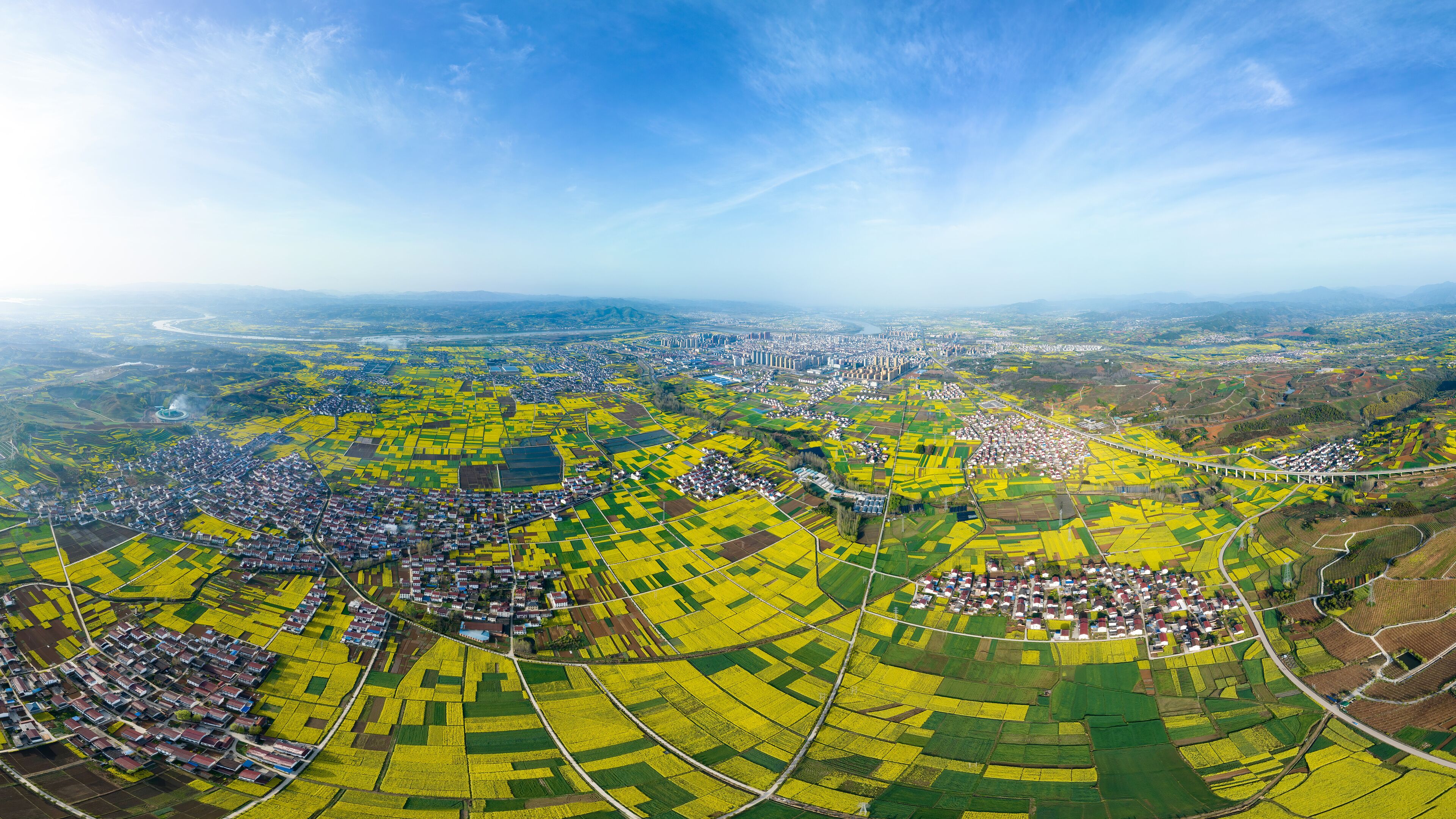 Shaanxi hanzhong rape flowers