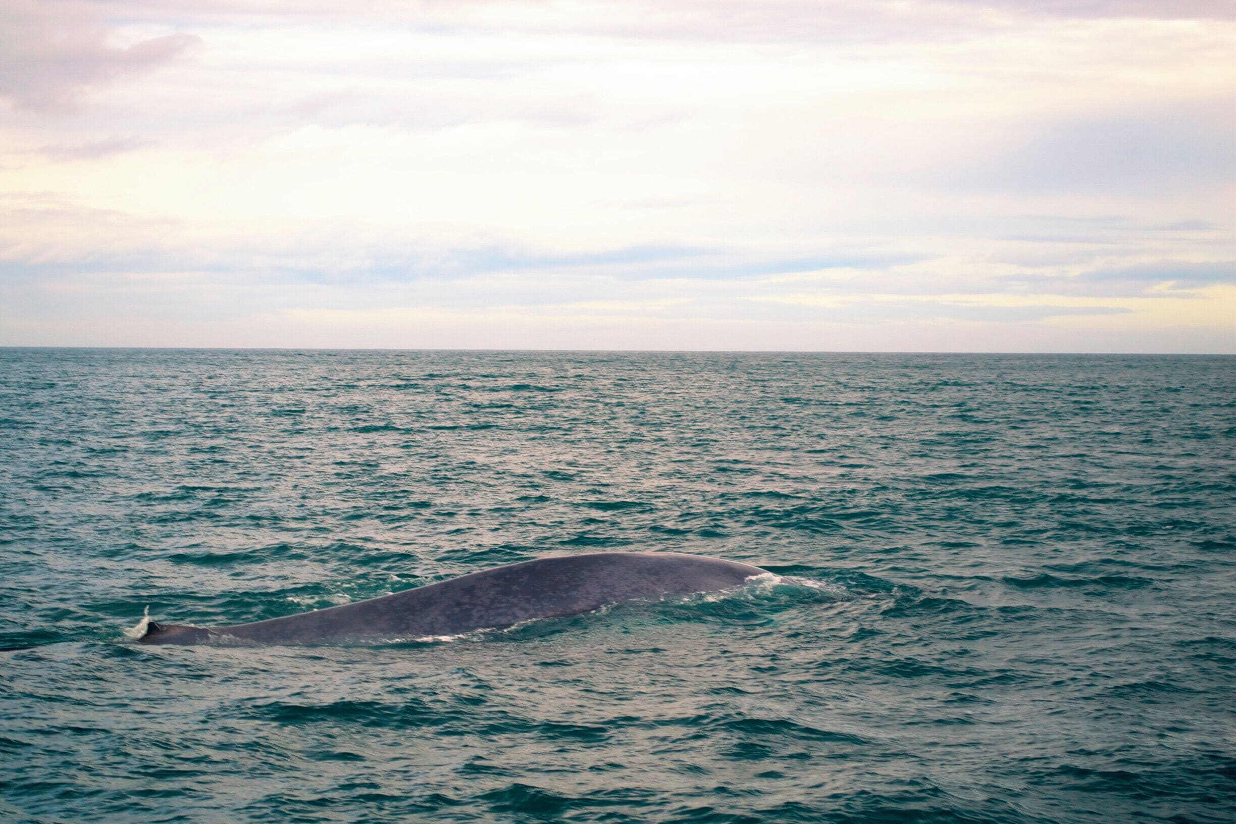 <h2>Top rated places to stay in Husavik for families</h2>