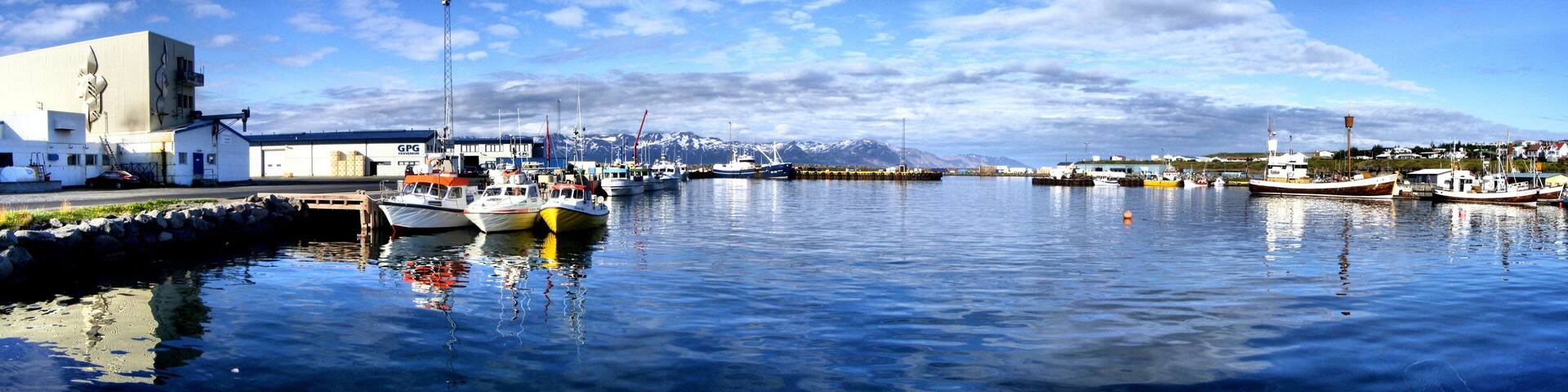 Caption---- Shore in Husavik, Iceland