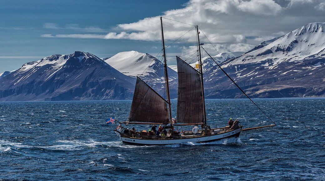 I think I like Iceland.