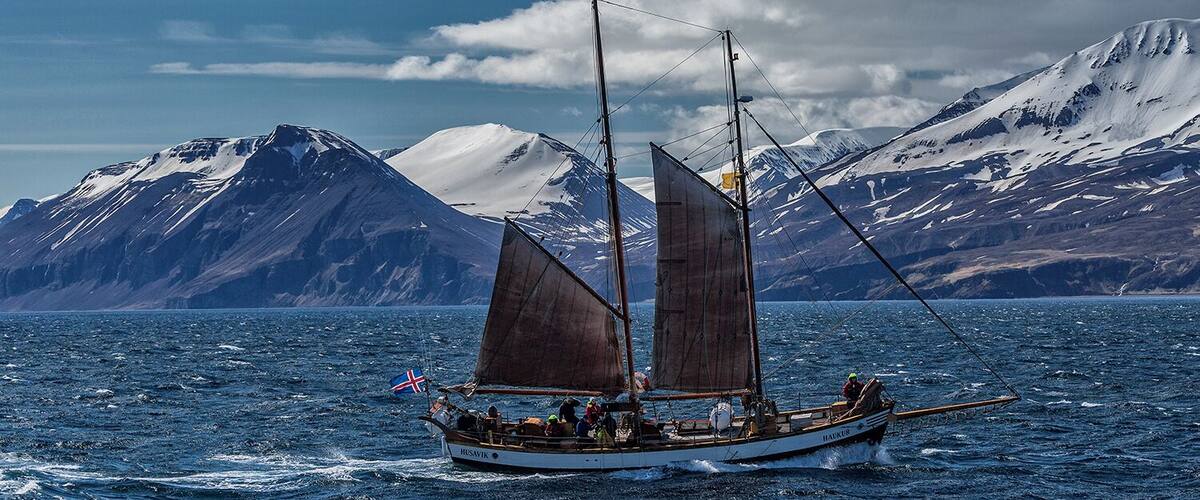 I think I like Iceland.