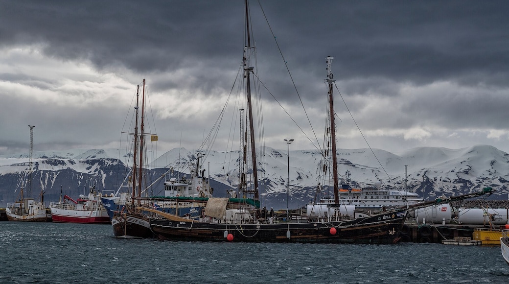 This old fishing village is still using some sailing vessels. this one was just being unloaded when I walked over. The men unloading had caught cod. I didn't see nets so I don't know how they had caught so many.