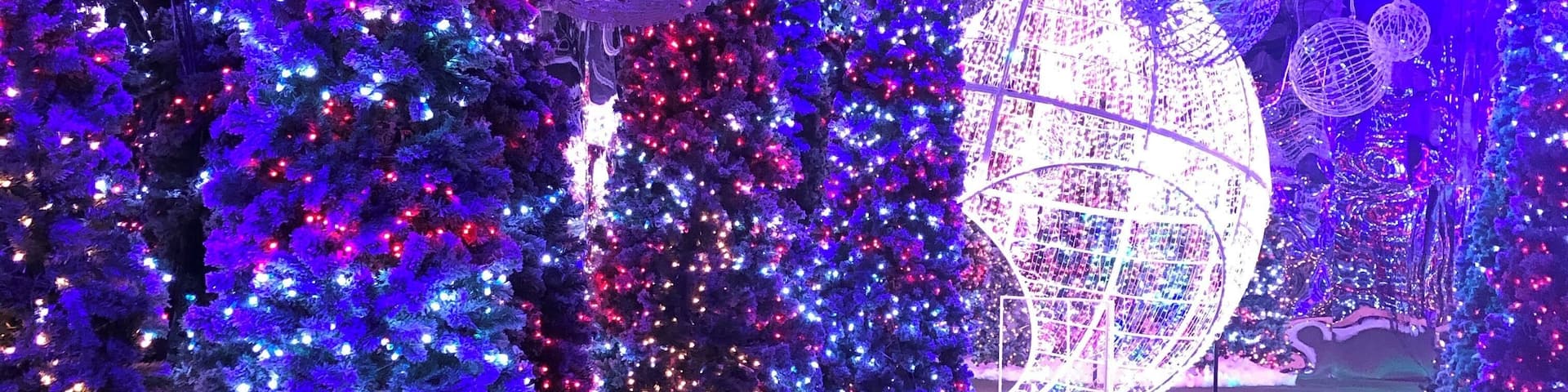 Santa’s Fantastical, not just for kids! It has thousands of Christmas lights, the largest indoor ornament and a speakeasy!