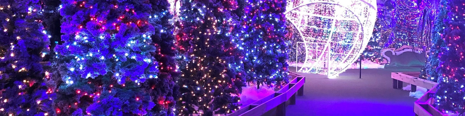 Santa’s Fantastical, not just for kids! It has thousands of Christmas lights, the largest indoor ornament and a speakeasy!