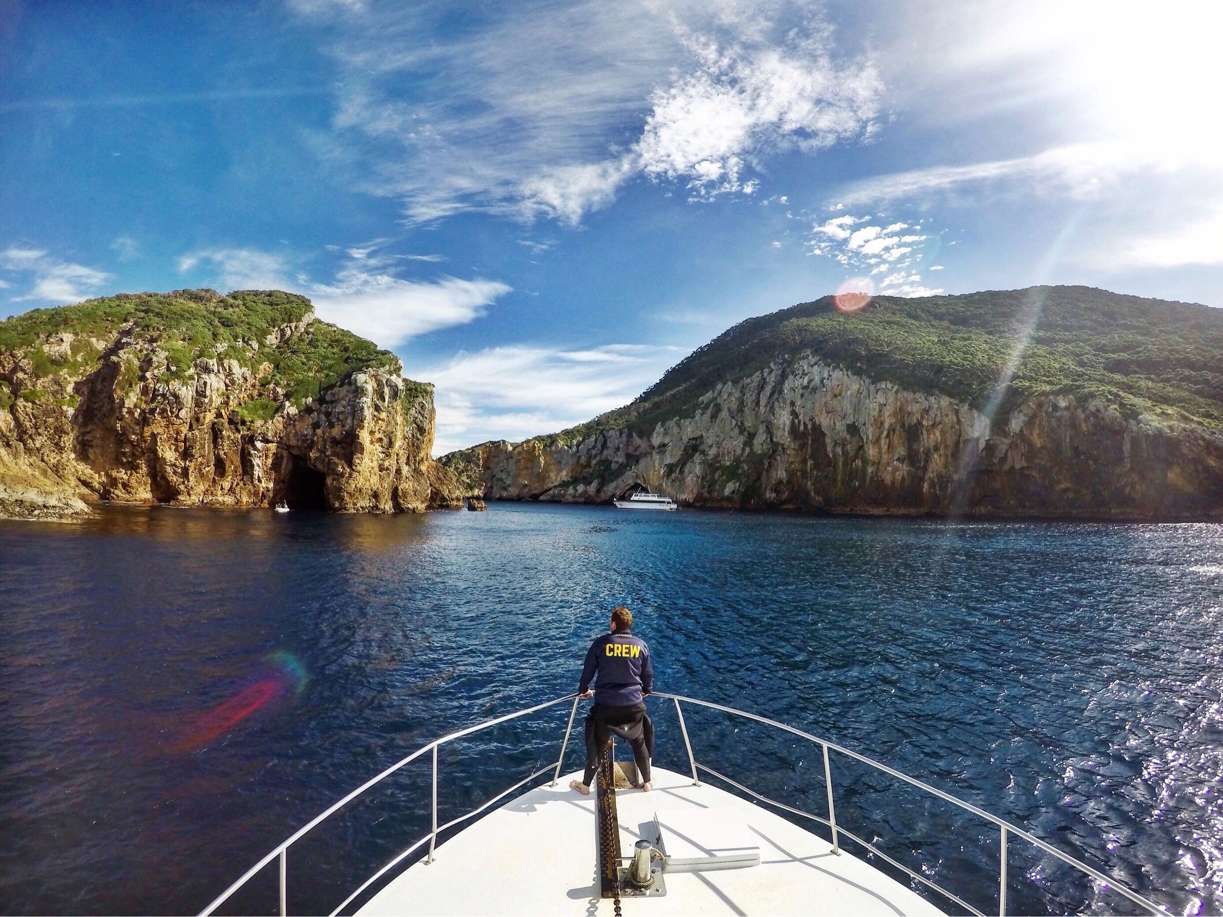 The Poor Knights Islands were originally the home of a Maori tribe. Once they moved off the island, it became  protected by Tribal and New Zealand Government law.  Now, it's an oasis for kayaking, scuba diving, and snorkeling. #blue #gottalovenz #tutukakacoast #divenz
