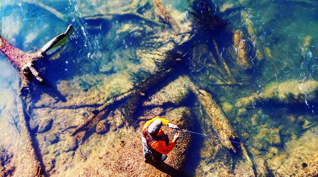 View from the bridge, man fishing