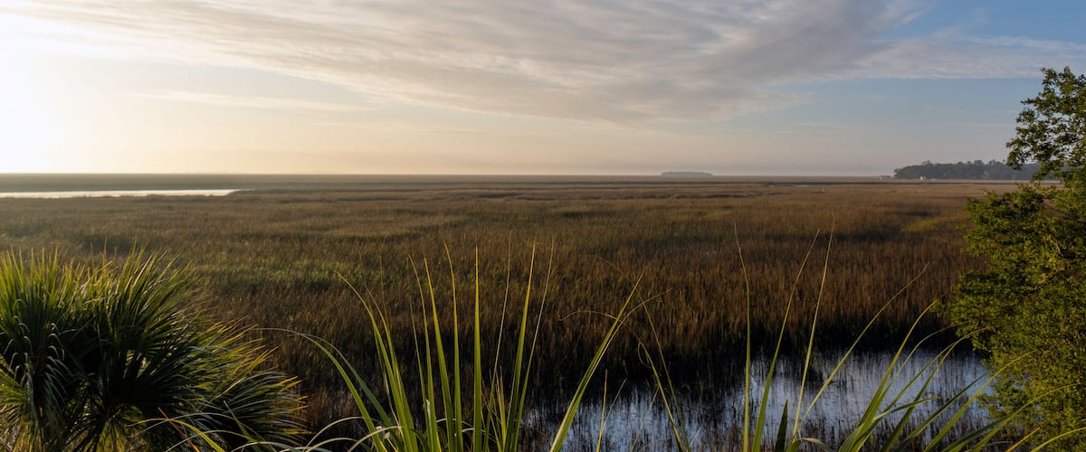 A beautiful landscape background of the lowcountry salt marsh near Sapelo Island, coastal Georgia, USA, home to an important marine estuary research centre.