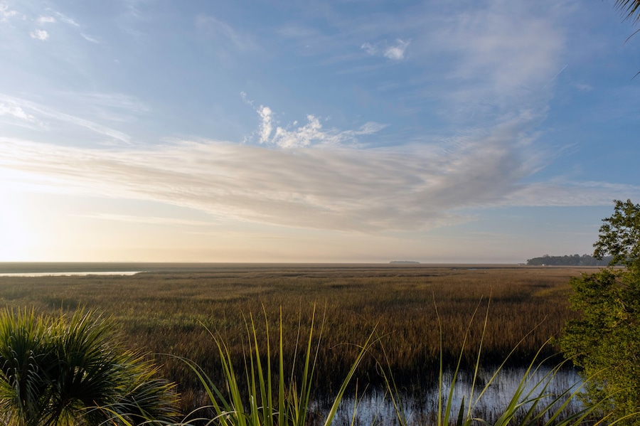 A beautiful landscape background of the lowcountry salt marsh near Sapelo Island, coastal Georgia, USA, home to an important marine estuary research centre.