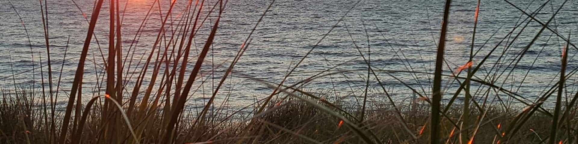 Enjoy a stunning sunset on Lake Michigan. $8 to enter the beach but good for the whole day.
