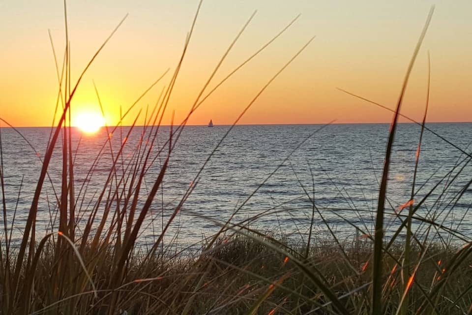 A sunset over a body of water with grasses in the foreground.