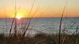 Enjoy a stunning sunset on Lake Michigan. $8 to enter the beach but good for the whole day.