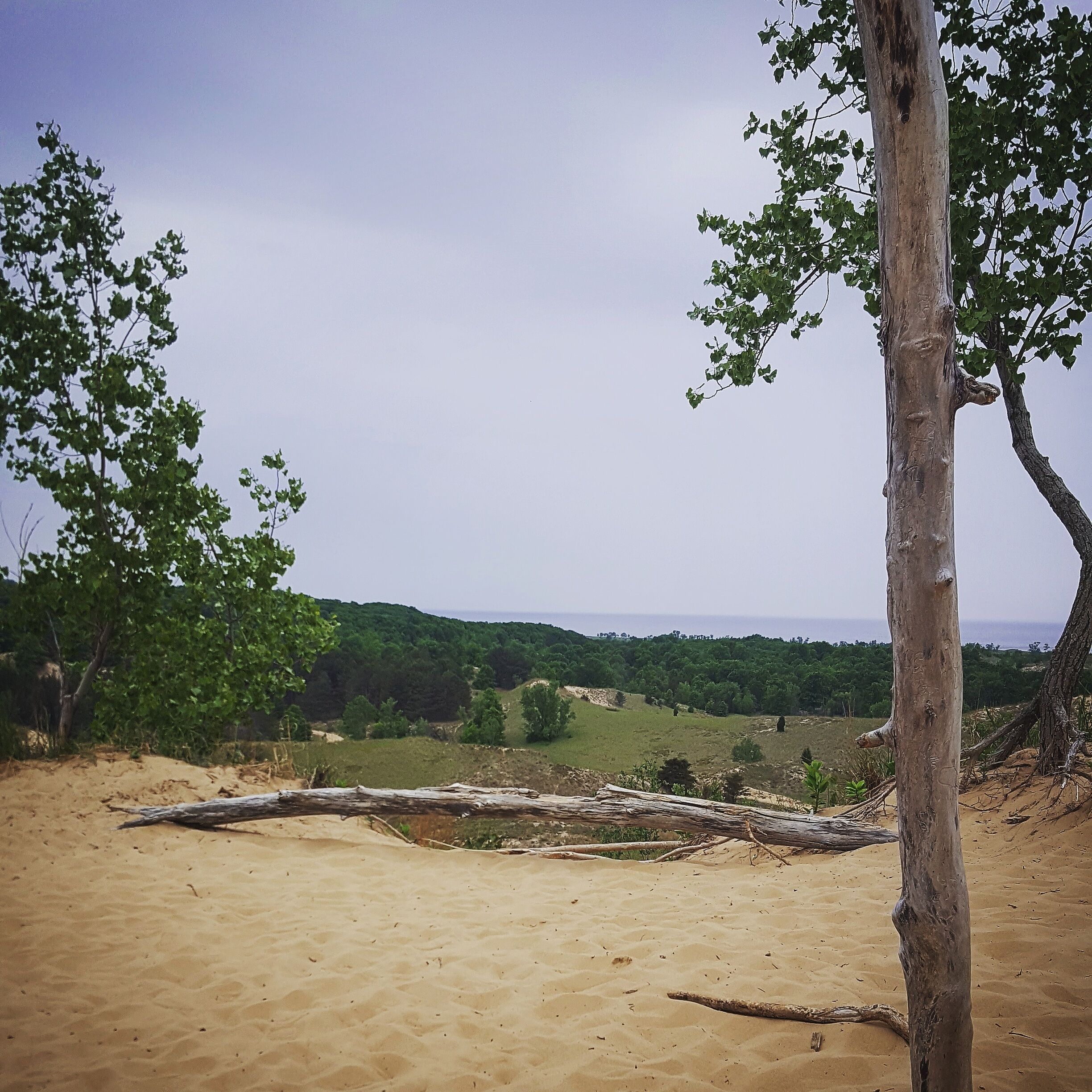 During the sand dune rides, you stop at the top of a tall dune. This is the overlook to Lake Michigan and the rest of the park 