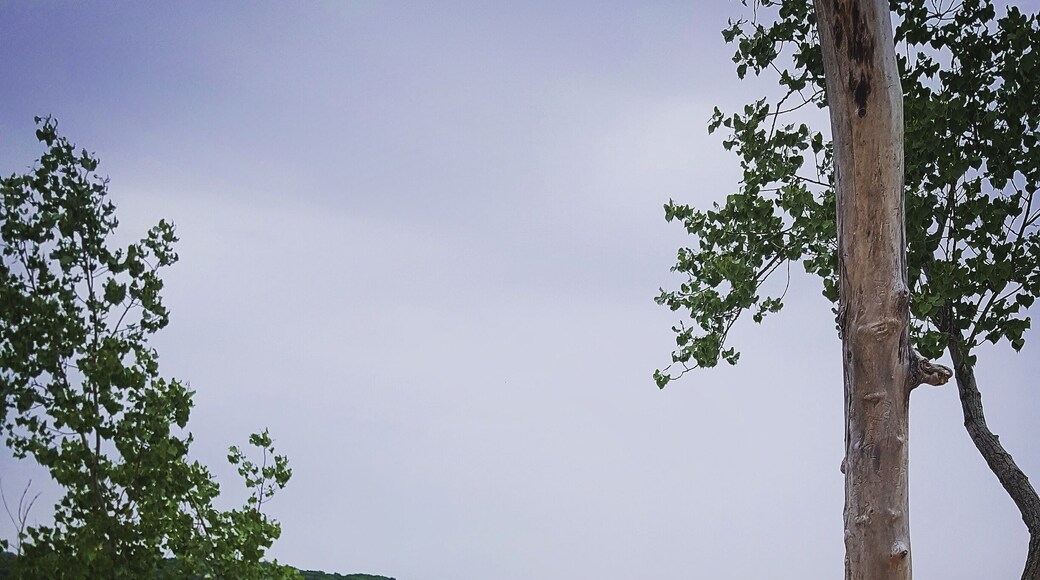During the sand dune rides, you stop at the top of a tall dune. This is the overlook to Lake Michigan and the rest of the park