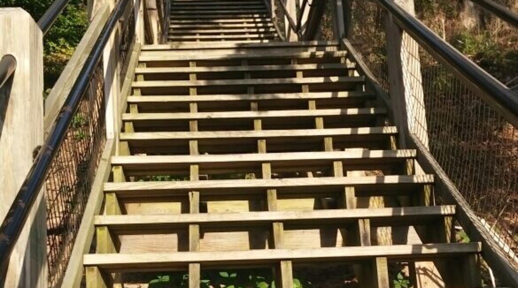 Get your morning workout by parking at My Baldhead, take the 302 steps up to the top, then walk down the sand dunes to Oval Beach. Walk the road back to your car, only about 2 miles altogether.