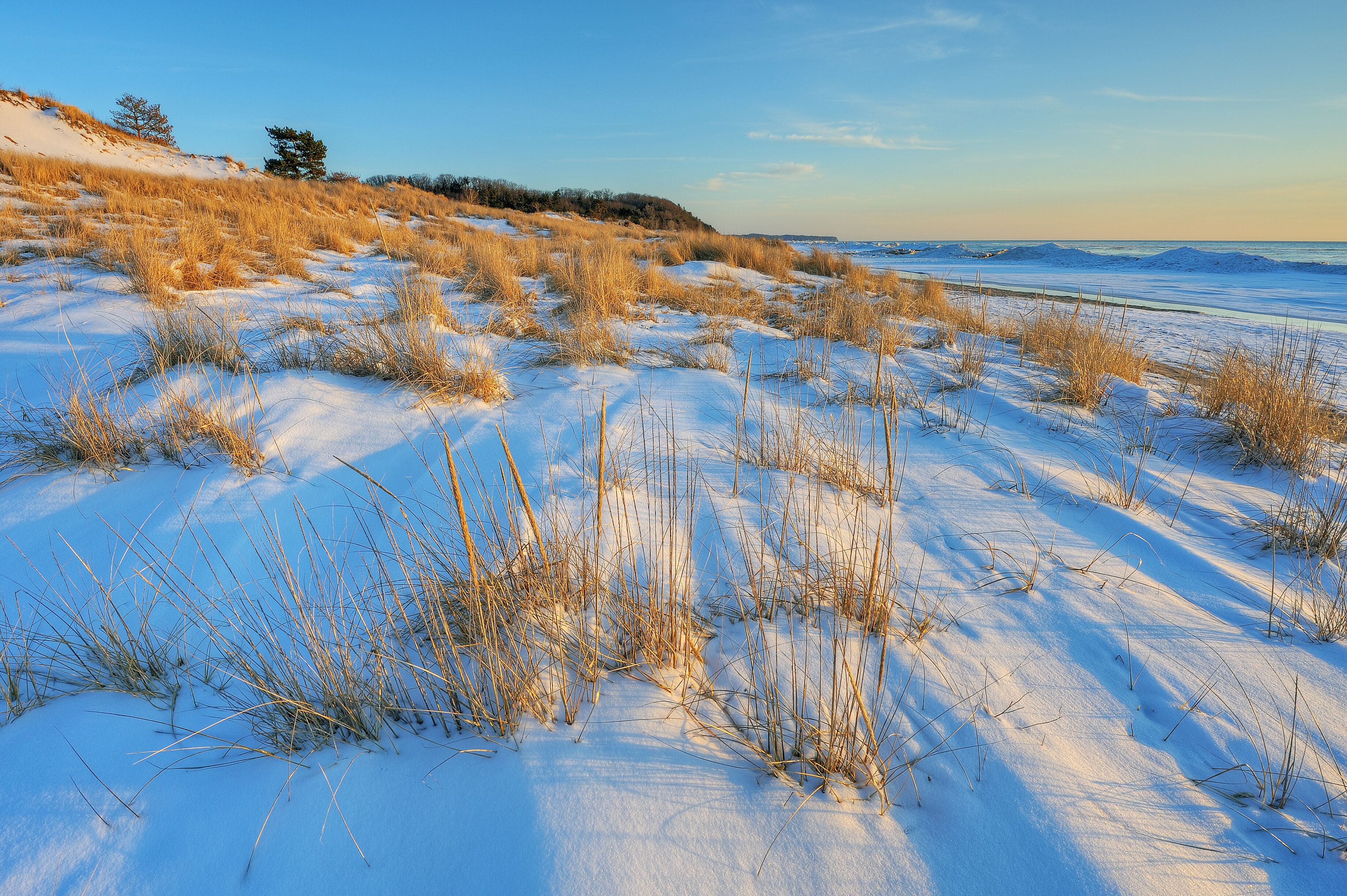 Winter landscape of beach grasses and iced shoreline of Lake Michigan, Saugatuck Dunes State Park, Michigan, USA