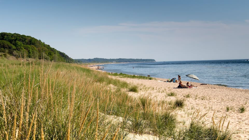 A beach with tall grass, people relaxing, and a distant shoreline.
