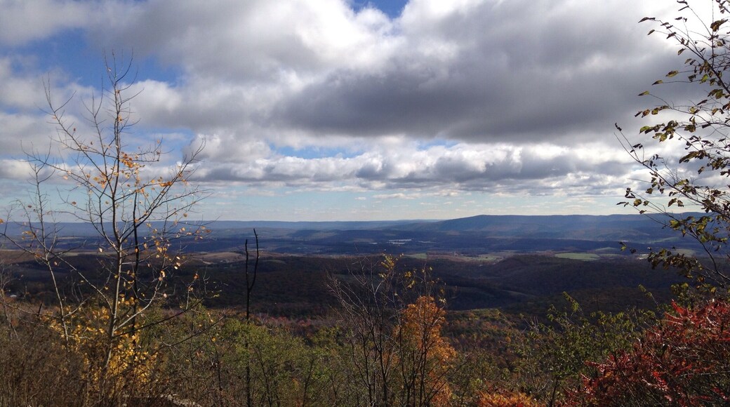 Went for a scenic drive around Bedford, PA last fall. Loved the fall foliage and pretty colors!