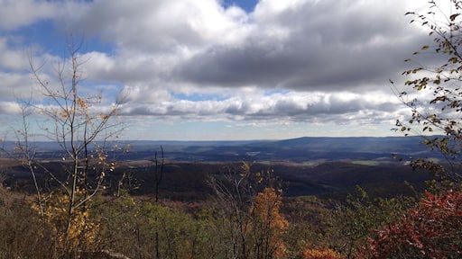 Went for a scenic drive around Bedford, PA last fall. Loved the fall foliage and pretty colors!