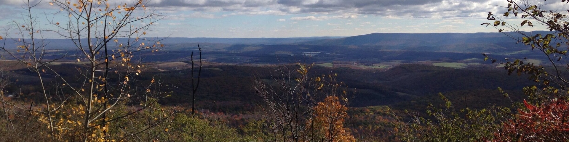 Went for a scenic drive around Bedford, PA last fall. Loved the fall foliage and pretty colors!