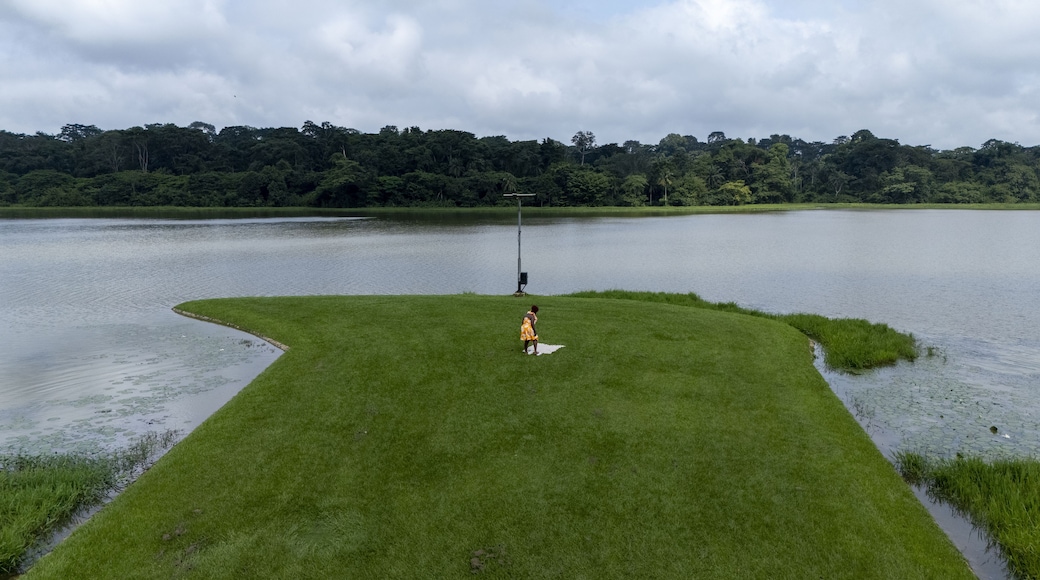 A grassy area with a water body and a person in the center.