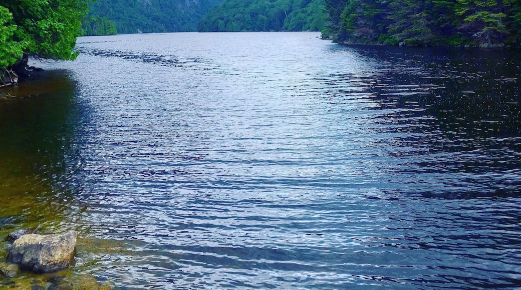 On the way to Sawteeth mountain.
#Hiking #Trails #adirondacks #mountains #Rei1440 #52hikechallenge
