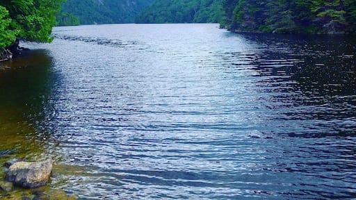 On the way to Sawteeth mountain.
#Hiking #Trails #adirondacks #mountains #Rei1440 #52hikechallenge