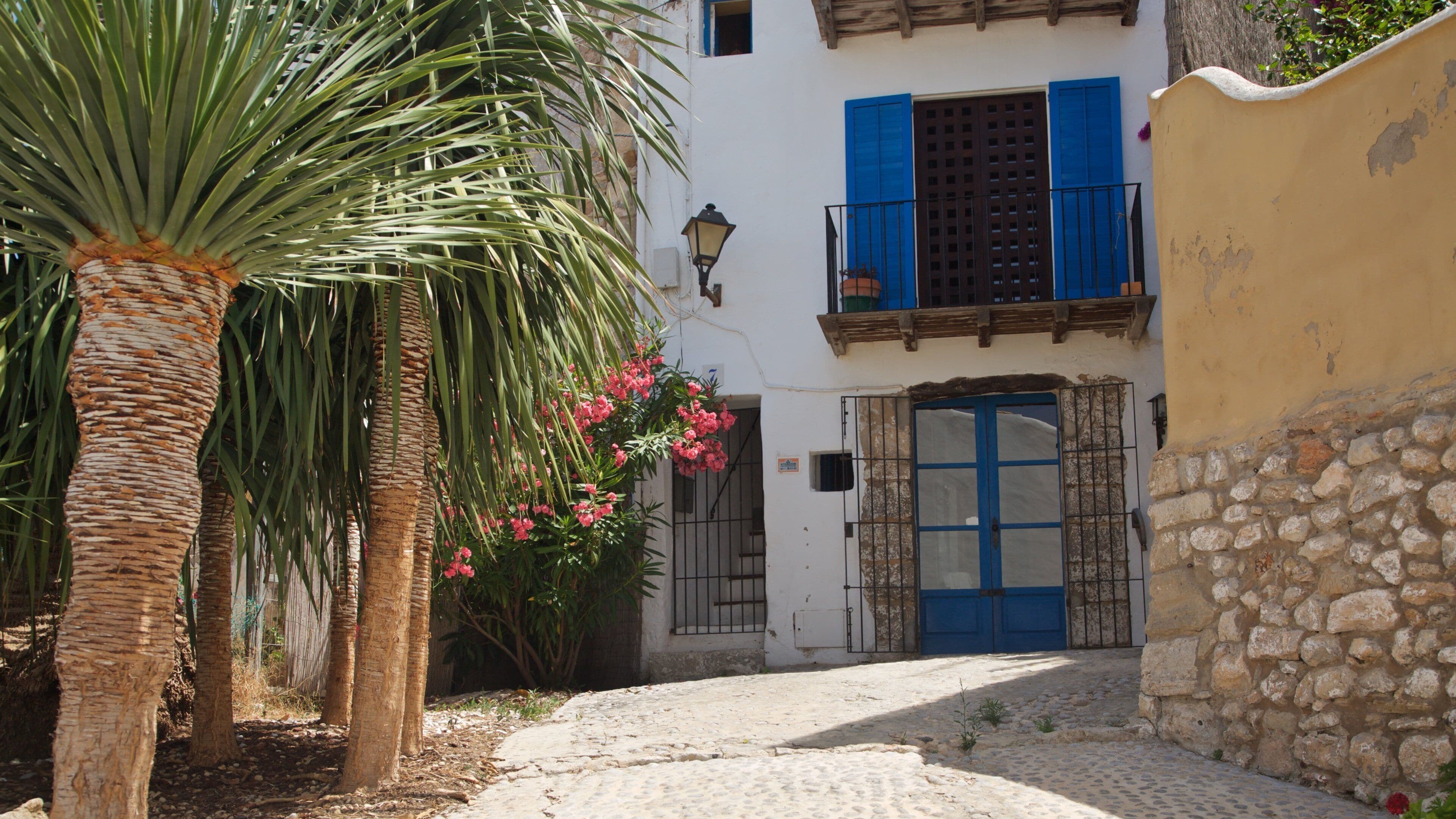 St Maarten and St Martin featuring flowers