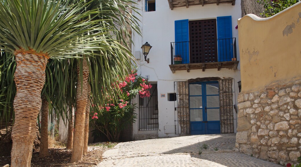 St Maarten and St Martin featuring flowers