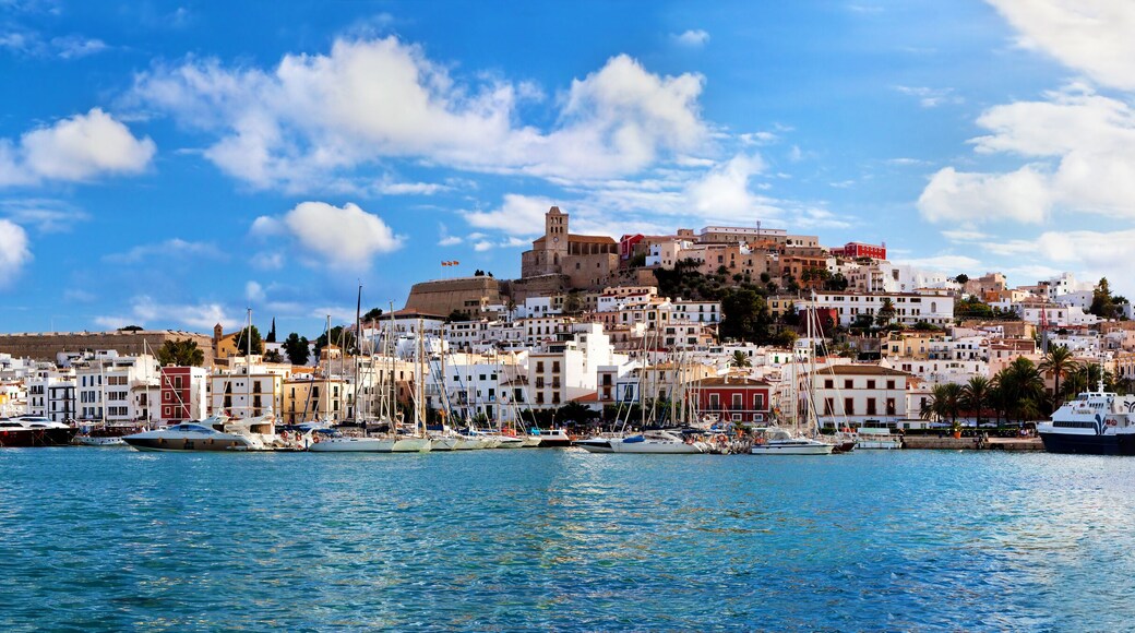 Panorama of Ibiza, Spain