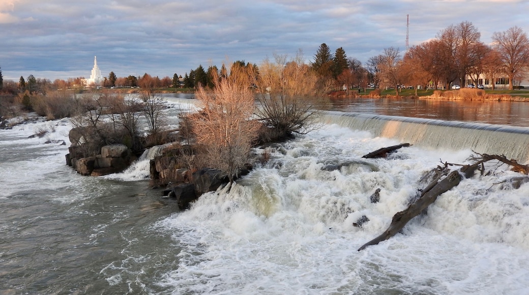 Idaho Falls was created by a man-made diversion dam used for hydroelectric power. Before the dam was created, this was just a bunch of small rapids. Now, the Snake River makes a drop of about 20 ft. or so over a width of 1200 ft. There is a beautiful walkway along the river here, so one can stroll along the whole length of the falls. In the background is the Idaho Falls Idaho Temple.
#LikeALocal
#Golden
