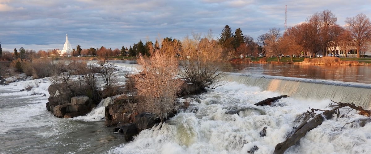 Idaho Falls was created by a man-made diversion dam used for hydroelectric power. Before the dam was created, this was just a bunch of small rapids. Now, the Snake River makes a drop of about 20 ft. or so over a width of 1200 ft. There is a beautiful walkway along the river here, so one can stroll along the whole length of the falls. In the background is the Idaho Falls Idaho Temple.
#LikeALocal
#Golden