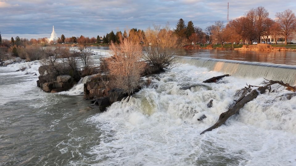 A river with a waterfall, surrounded by trees and a distant building.