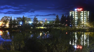 Idaho Falls which includes a river or creek, night scenes and a hotel