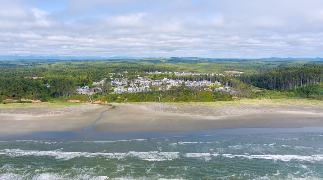 Aerial view of Seabrook, Washington in June