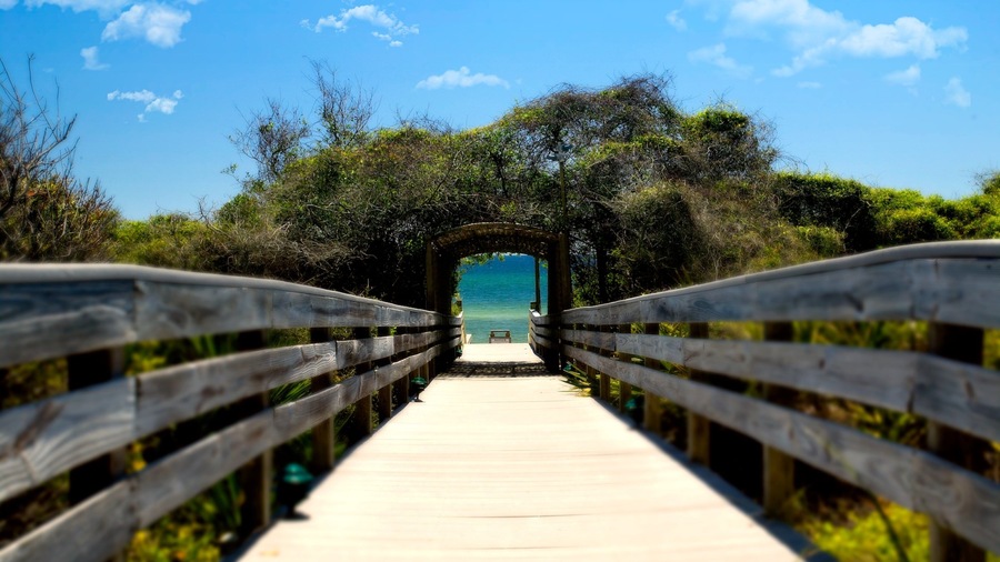 Seagrove Beach featuring a bridge and general coastal views