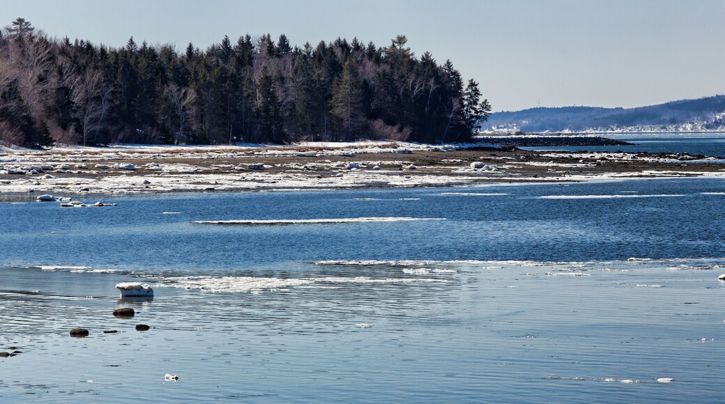 Sears Island in Maine