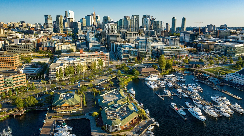 Aerial footage of the Seattle Skyline