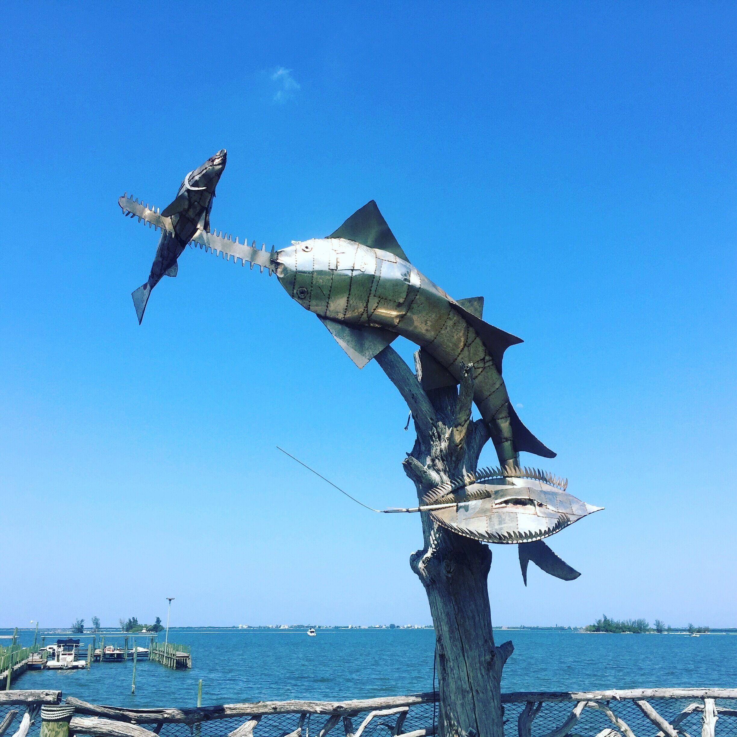 Awesome scrap metal artwork. Sawfish on the side of the road. 