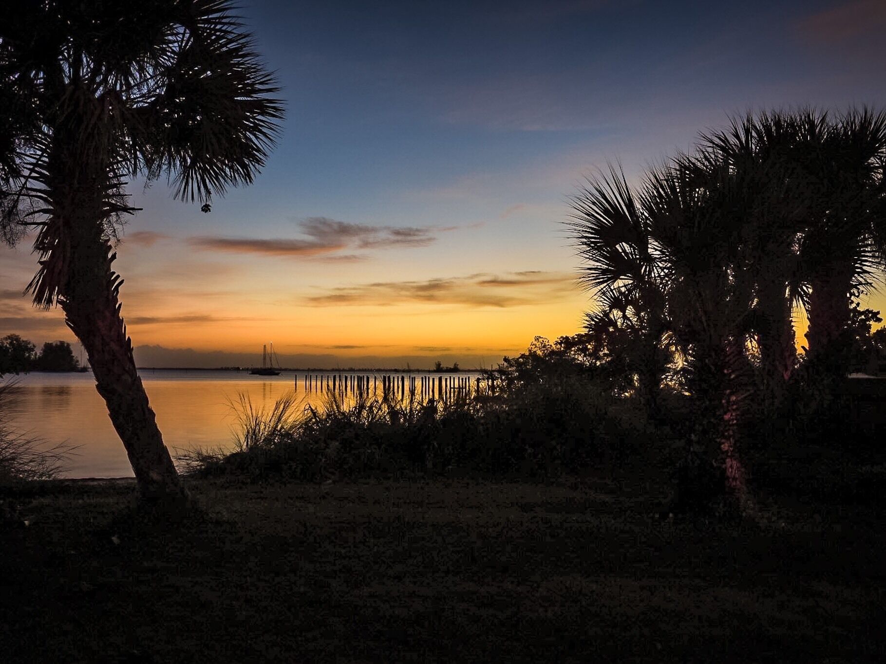A sunset over a calm body of water with palm trees and a dock.