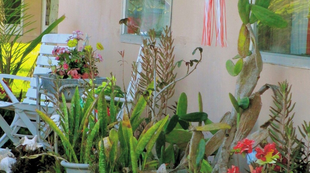 Walking along the waterways