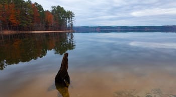 Early evening at Jordan Lake North Carolina