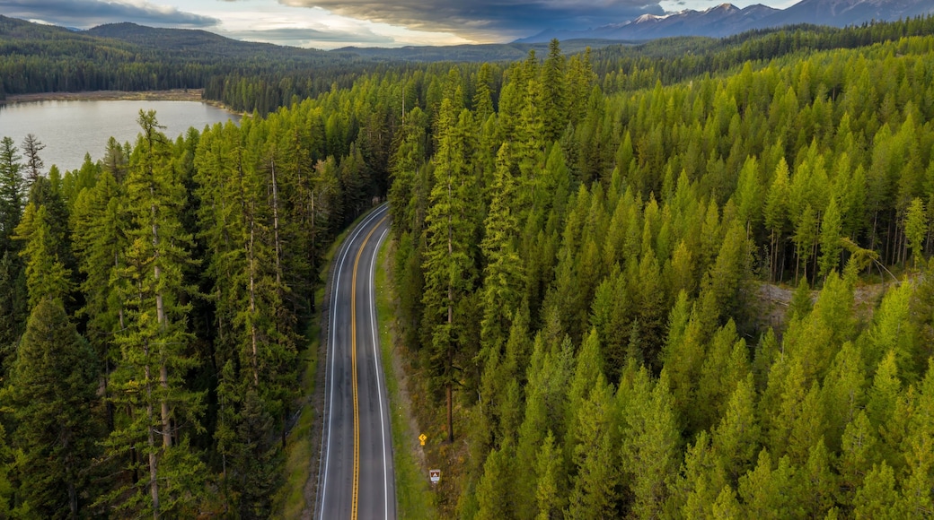 A winding road through a dense forest with a lake and mountains in the background.